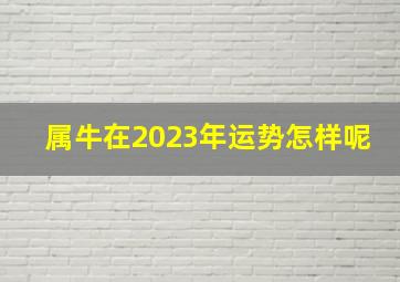 属牛在2023年运势怎样呢,1985年属牛2023年运势2023年的运势很好