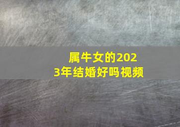 属牛女的2023年结婚好吗视频,2023年属牛事业