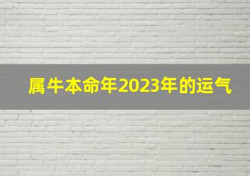 属牛本命年2023年的运气,生肖属牛的人2023年投资吉凶分析