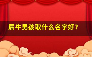 属牛男孩取什么名字好？