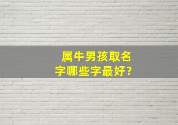 属牛男孩取名字哪些字最好？