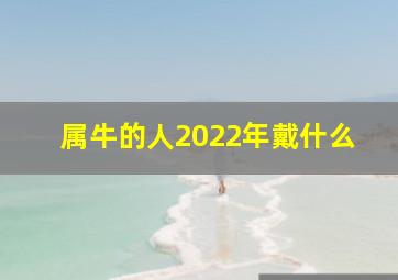 属牛的人2022年戴什么