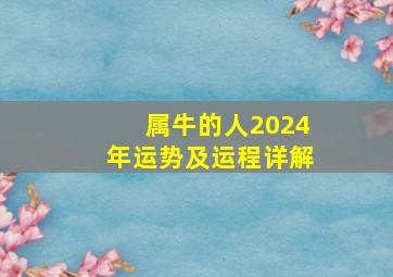 属牛的人2024年运势及运程详解,属兔的人2024年运势及运程详解