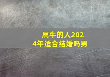 属牛的人2024年适合结婚吗男,属牛的人2024年命运