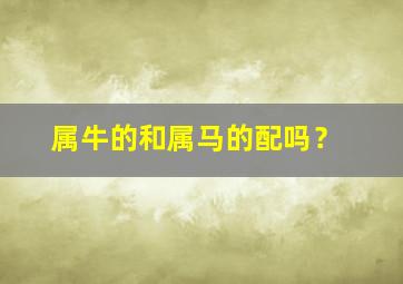 属牛的和属马的配吗？