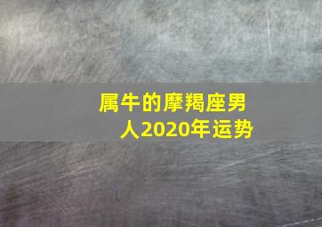 属牛的摩羯座男人2020年运势,属牛的摩羯座明日运势