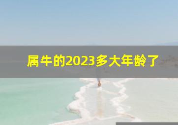 属牛的2023多大年龄了