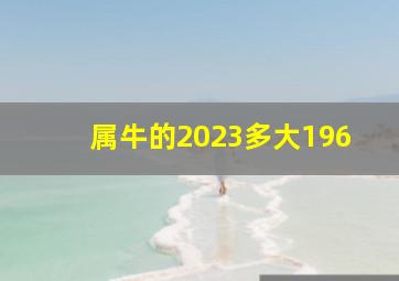 属牛的2023多大196,十二生肖排序年龄对照表