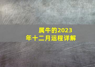 属牛的2023年十二月运程详解,21年出生的属牛人2023年全年运势运程及每月运势分析最新运势详解