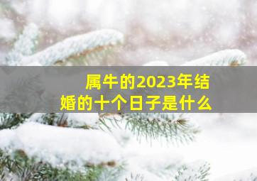 属牛的2023年结婚的十个日子是什么,领证择日2023年农历七月属牛的领结婚证黄道吉日一览表