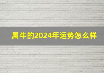 属牛的2024年运势怎么样