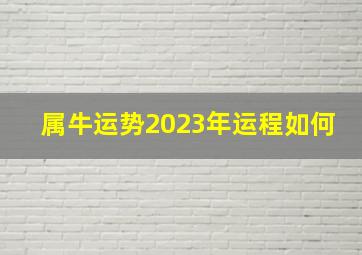 属牛运势2023年运程如何,属牛2023年运势及运程详解2023年属牛运势解析完整版