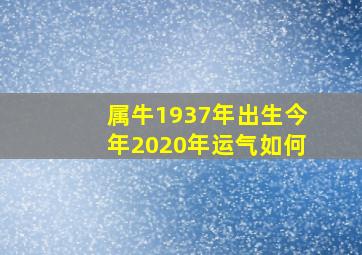 属牛1937年出生今年2020年运气如何,属牛的今年多大