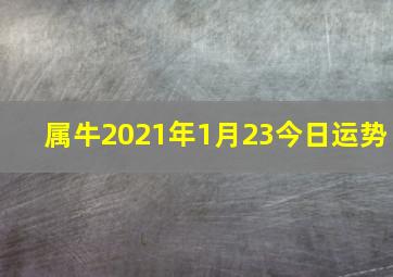 属牛2021年1月23今日运势,生肖运势分析:2021年1月属牛女运势如何