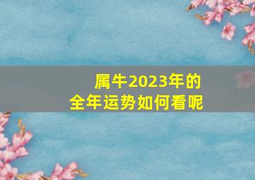 属牛2023年的全年运势如何看呢,2023年属牛人运势怎么样属牛在2023年运势