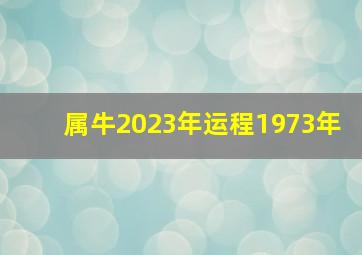 属牛2023年运程1973年,生肖牛2023年运势