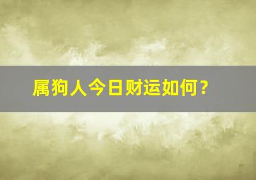 属狗人今日财运如何？