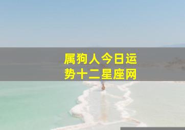 属狗人今日运势十二星座网,属狗人今日运势 卜易居