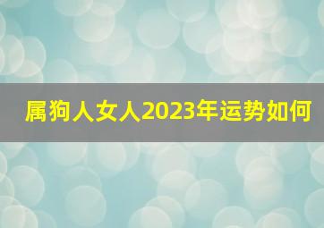 属狗人女人2023年运势如何,属狗女命者2023年下半年财运运势不时上升越走越顺