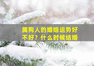 属狗人的婚姻运势好不好？什么时候结婚