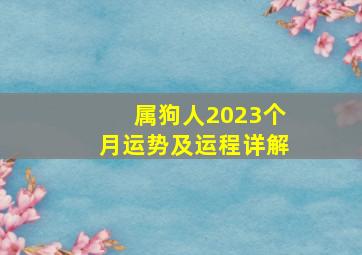 属狗人2023个月运势及运程详解,2023属狗每月运势详解吉星照射乱中有福