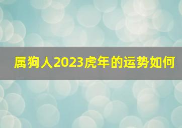 属狗人2023虎年的运势如何,1994年属狗2023年运势如何