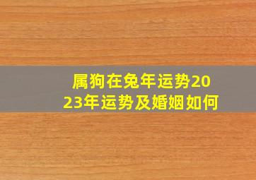 属狗在兔年运势2023年运势及婚姻如何,1958年出生属狗的人2023年多少岁