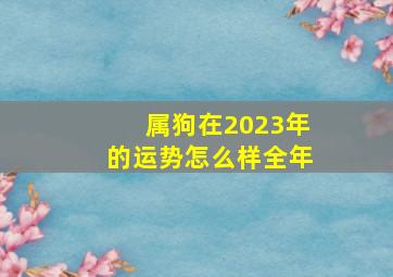 属狗在2023年的运势怎么样全年,属狗人2023年运势运程