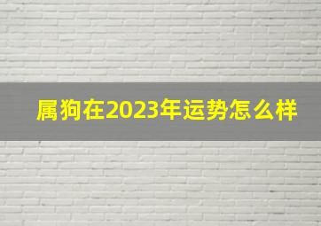 属狗在2023年运势怎么样,1994年属狗2023年运势如何