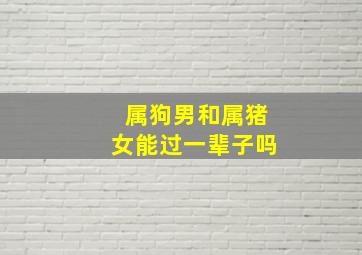 属狗男和属猪女能过一辈子吗,男狗女猪能过一辈子吗