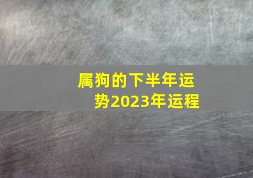 属狗的下半年运势2023年运程,属狗的下半年运势2023年运程怎么样