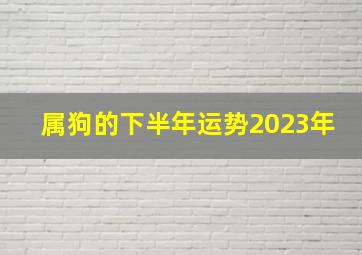 属狗的下半年运势2023年,属狗下半年运势2023年运程如何