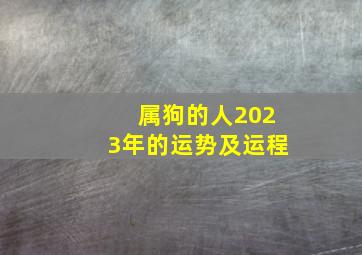 属狗的人2023年的运势及运程,生肖狗在2023年的运势以及注意月份