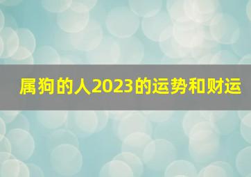 属狗的人2023的运势和财运,属狗人2023年运势运程每月运