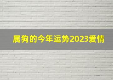 属狗的今年运势2023爱情,1994年属狗2023年运势如何