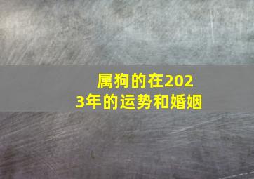 属狗的在2023年的运势和婚姻,82年属狗女人2023年的运势及运程婚姻