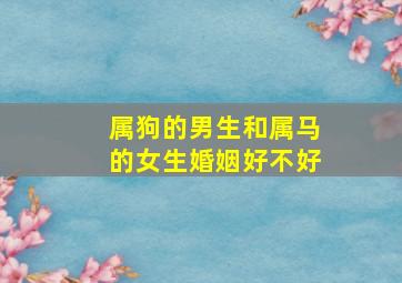 属狗的男生和属马的女生婚姻好不好,男狗女马的婚姻与财运