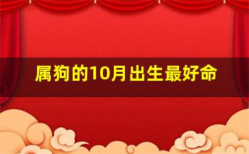 属狗的10月出生最好命,属狗10月出生是什么命运