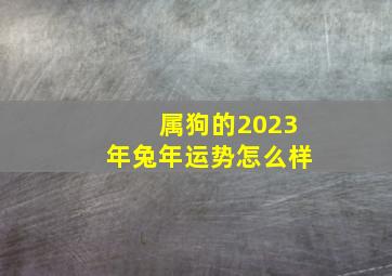 属狗的2023年兔年运势怎么样,属狗人2023年有犯太岁吗往年运势如何