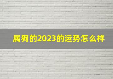 属狗的2023的运势怎么样,生肖狗在2023年的运势如何