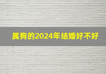 属狗的2024年结婚好不好,属狗的2024年结婚好不好呢