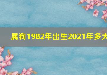 属狗1982年出生2021年多大,属狗的往年多大了2021岁数表哪年出生的