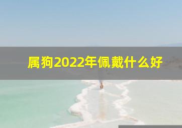 属狗2022年佩戴什么好,2022年十二生肖佩戴的饰品属虎、马、狗、猪