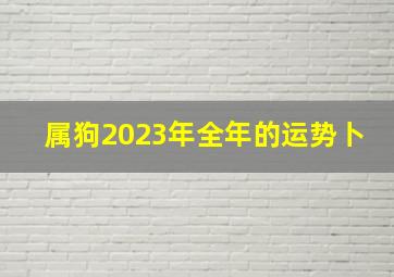 属狗2023年全年的运势卜,属狗人2023年运势运程