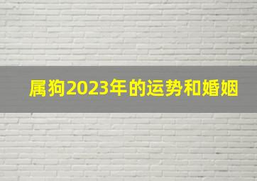 属狗2023年的运势和婚姻,1970属狗2023年三大喜事