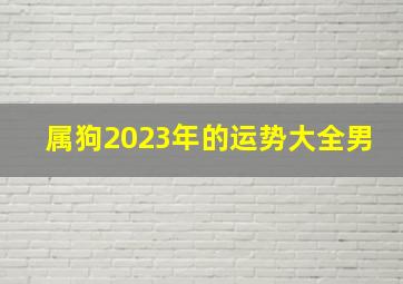 属狗2023年的运势大全男,1994年属狗2023年运势如何