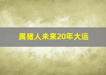 属猪人未来20年大运,属猪人未来20年大运如何