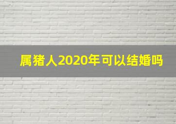 属猪人2020年可以结婚吗,2020鼠年生肖属兔和生肖属猪可以结婚吗