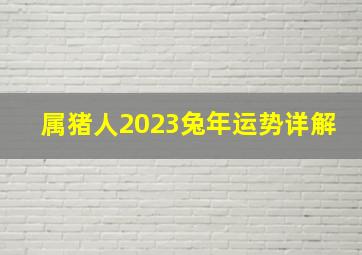 属猪人2023兔年运势详解,生肖2023年运势及运程