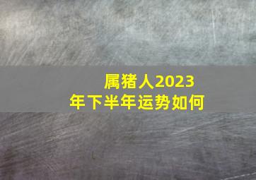 属猪人2023年下半年运势如何,属猪在2023年运势怎样